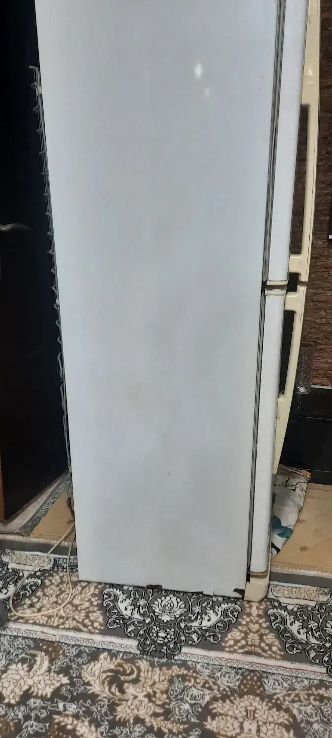 یخچال و فریزر سالم|یخچال و فریزر|رشت, پیرکلاچای|دیوار