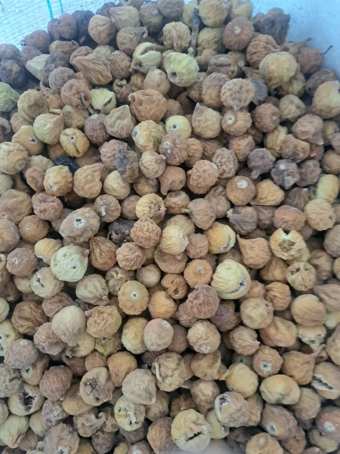 انجیر|عمده‌فروشی|دشمن زیاری, |دیوار