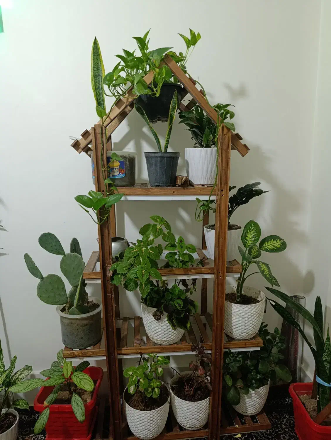 استندچوبی گل 2/000ادویه جات وکافه بار|صنایع دستی و سایر لوازم تزئینی|ساوه, |دیوار