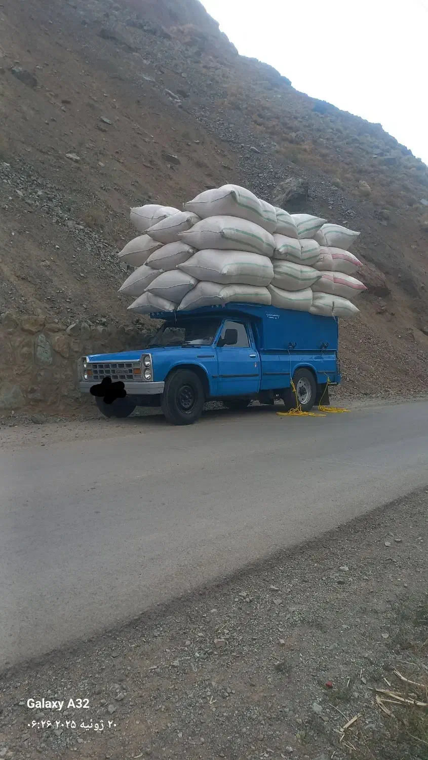 کاه گندم نرم و کاه لوبیا تحویل درب دامداری|لوازم جانبی حیوانات|مرزنآباد, |دیوار