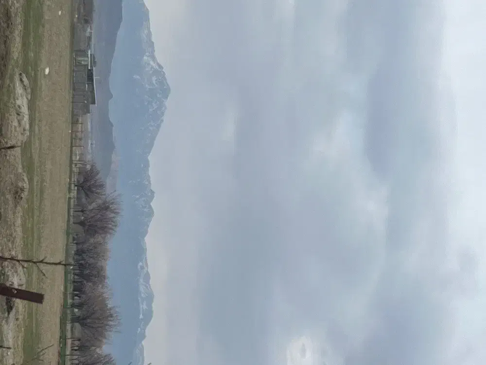 فروش فوق العاده زمین 450 متری در نزدیکی خبر|فروش زمین و ملک کلنگی|کشکوئیه, |دیوار