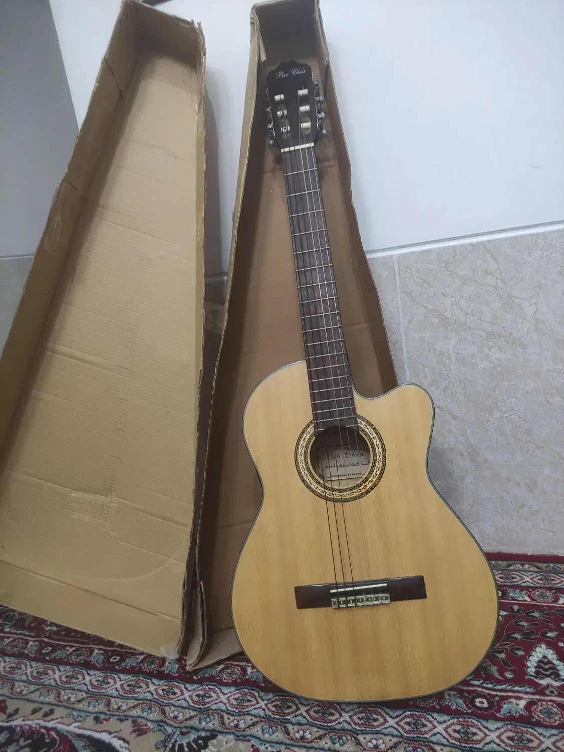 گیتار کلاسیک اصل کره|گیتار، بیس، امپلیفایر|فسا, |دیوار