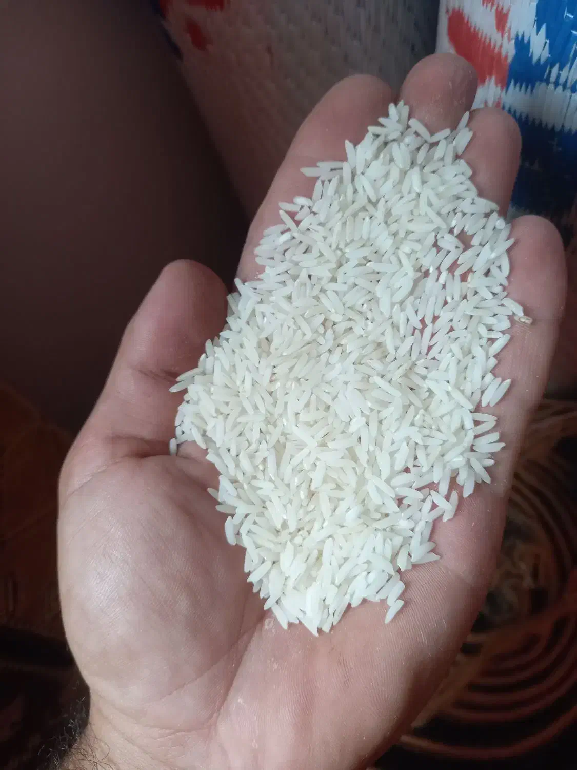 فروش برنج طارم هاشمی درجه۱ ونیم دانه طارم هاشمی|خوردنی و آشامیدنی|قائم‌شهر, |دیوار