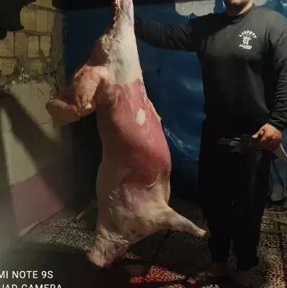 کله پاچه سیرابی پاک شده کیلوی ۴۰۰هزار|خوردنی و آشامیدنی|فردیس, شهرک ارم|دیوار