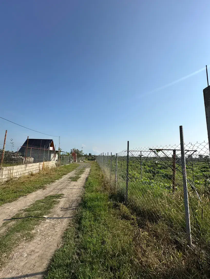 فروش یک هکتار باغ کیوی دارای 500مترمسکونی/تالش|فروش زمین و ملک کلنگی|لیسار, |دیوار