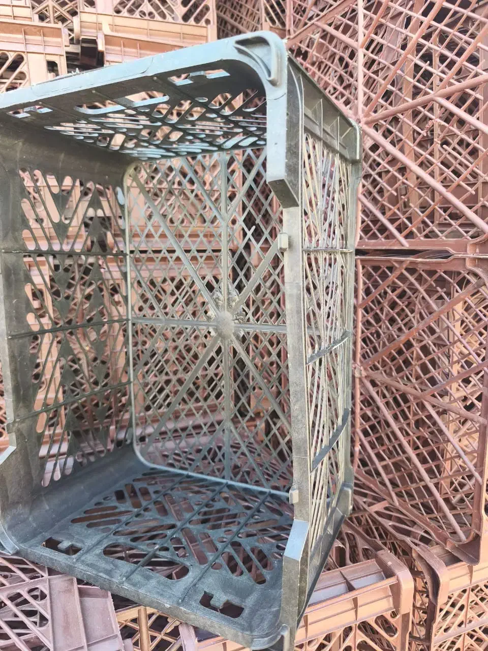 داراب و زرین دشت و .بخش فورگ و بخش رستاق|عمده‌فروشی|فورگ, |دیوار