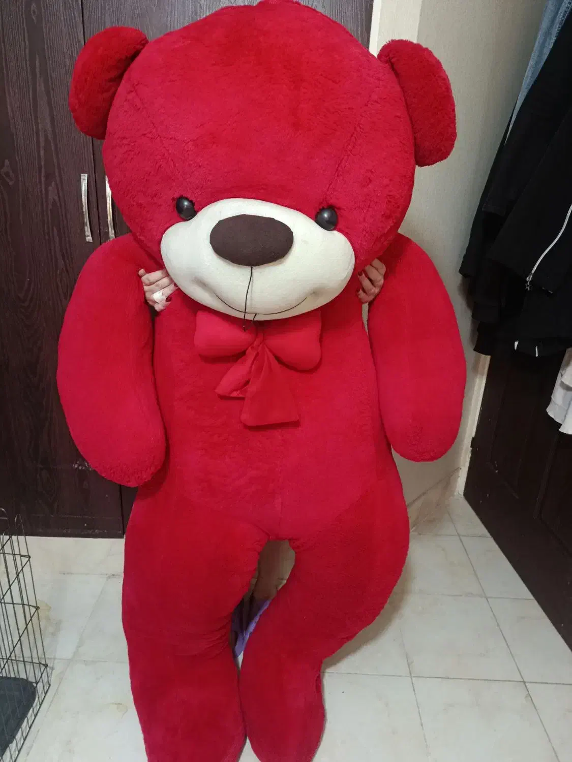 خرس ولنتاینی|اسباببازی|صدرا-فارس, فاز ۱|دیوار