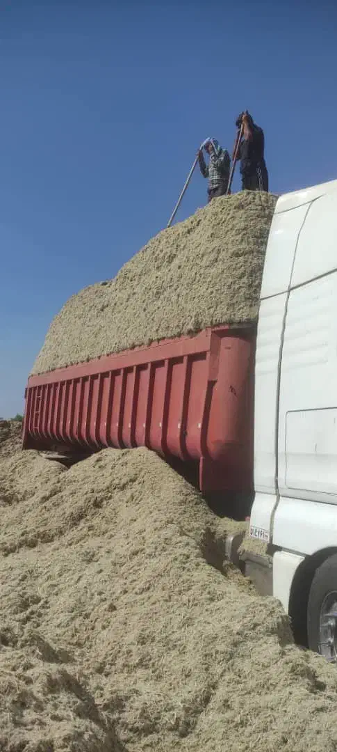 کاه|خدمات باغبانی و درختکاری|کارون, |دیوار