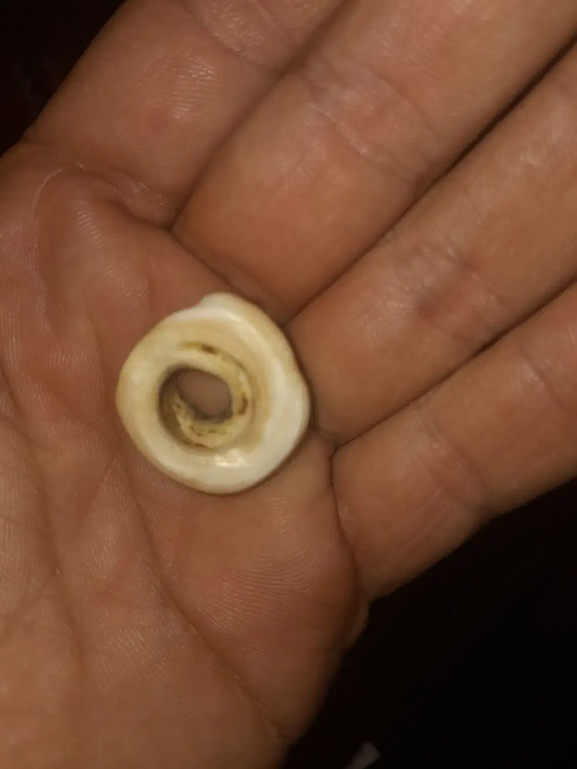 سلام م قدیمی|کلکسیون اشیاء عتیقه|ایلام, |دیوار