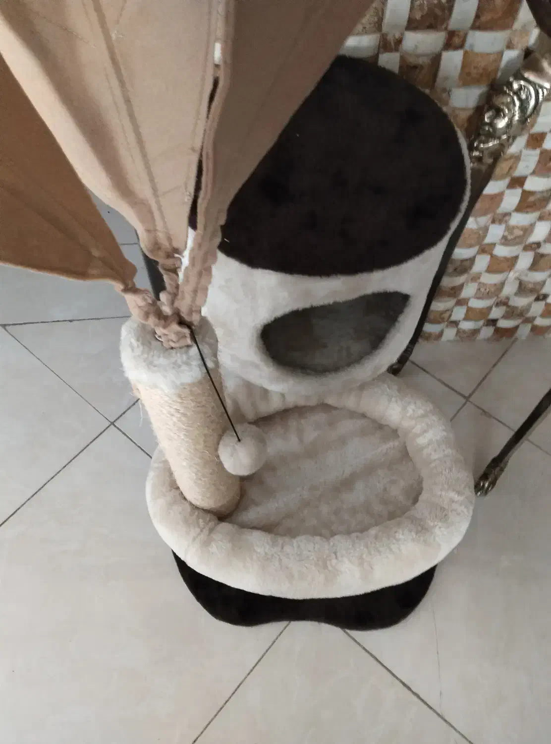 اسکچر|لوازم جانبی حیوانات|رودهن, |دیوار