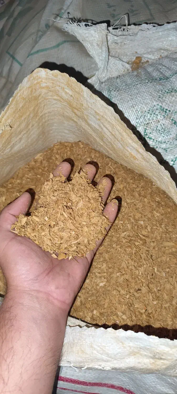 پوست بادام|خدمات باغبانی و درختکاری|نجف‌آباد, یزدانشهر|دیوار