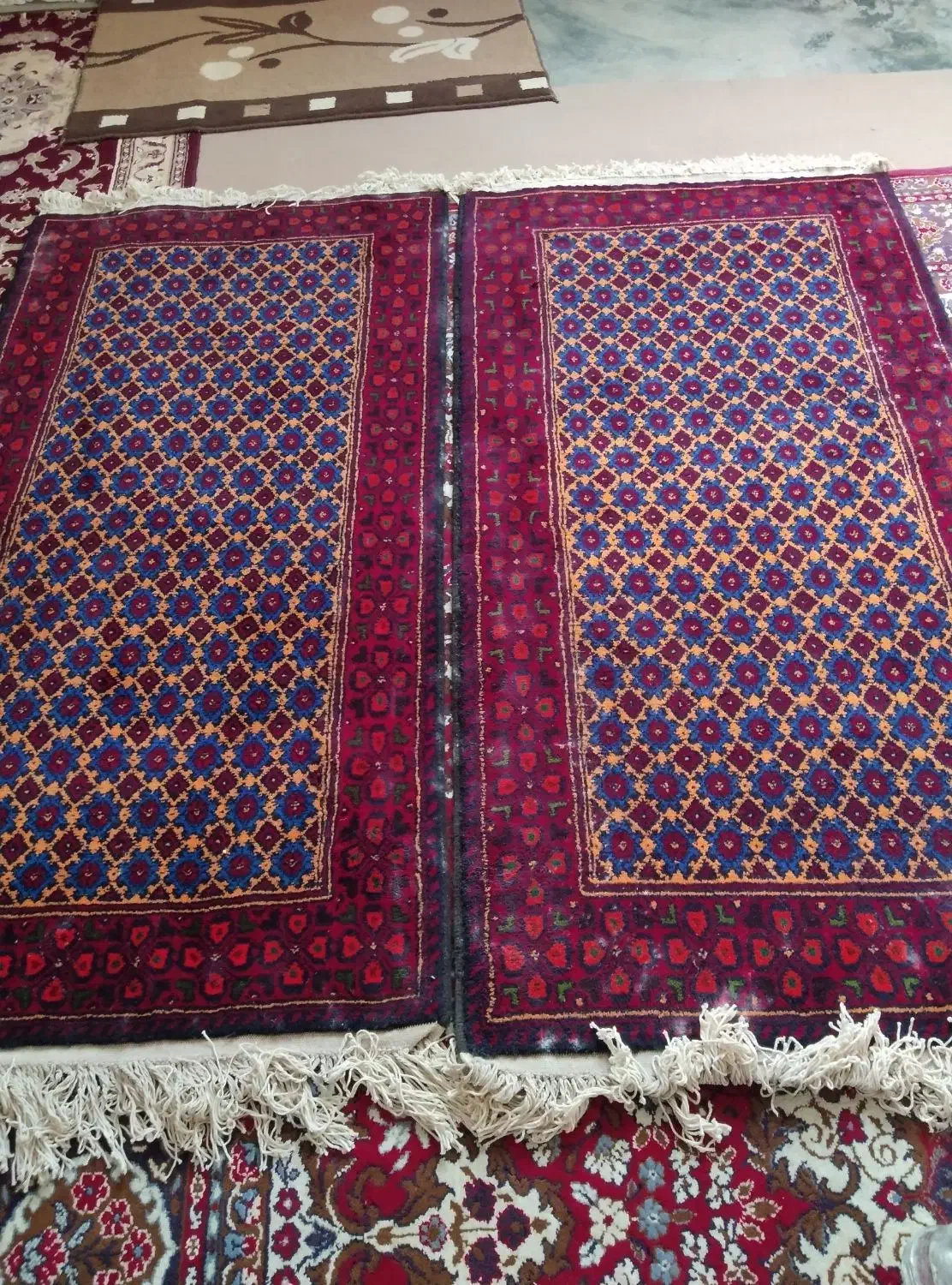 جفت قالیچه دستی ۱۶ملیون|فرش|خواف, |دیوار