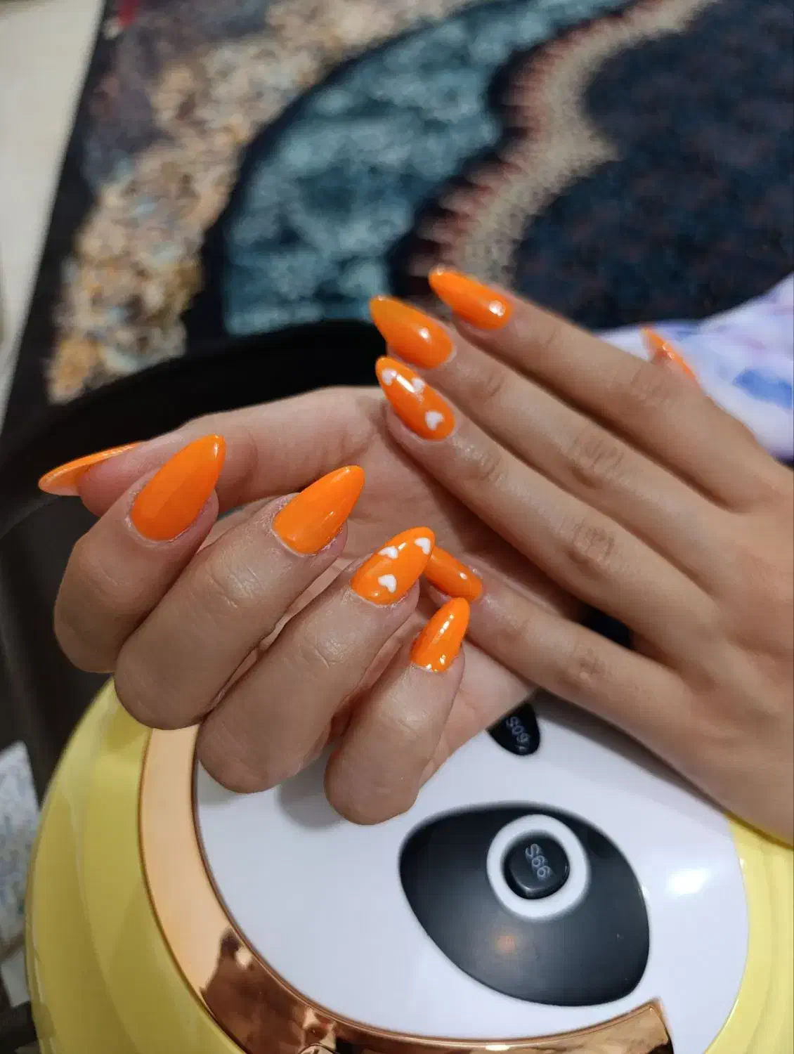 کاشت ناخن|خدمات آرایشگری و زیبایی|کرمانشاه, |دیوار