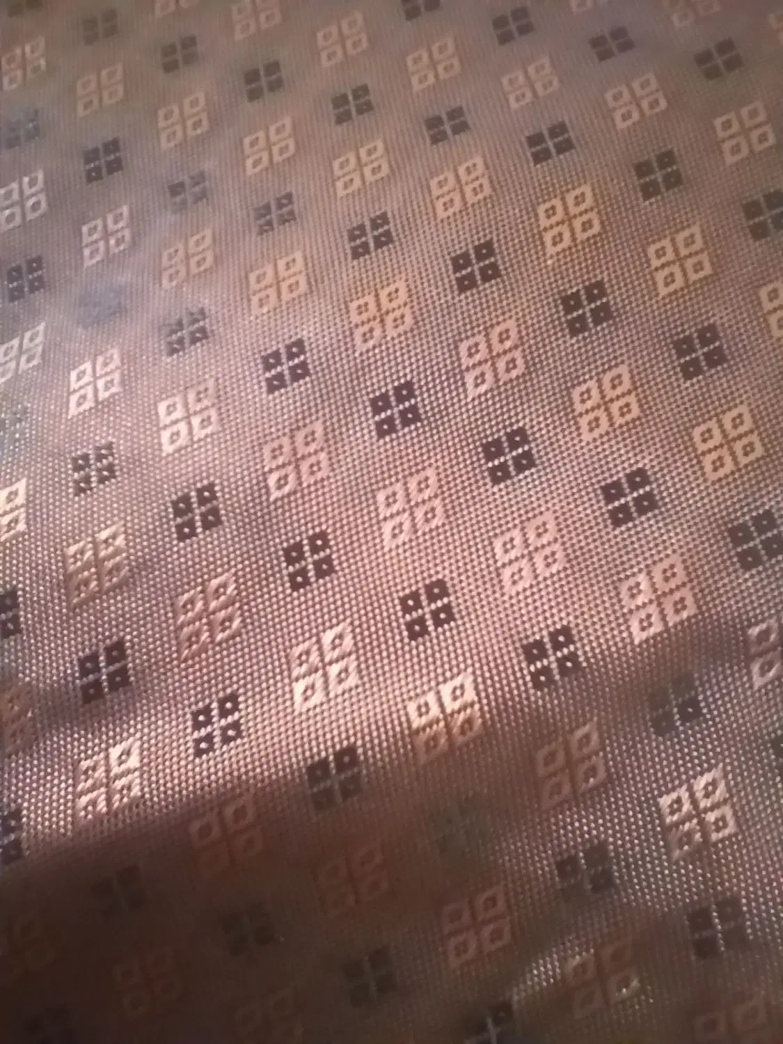 پالتو استر دار زنانه|لباس|صدرا-فارس, فاز ۱|دیوار