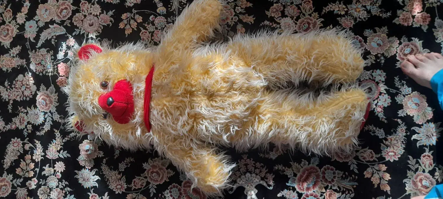 خرس پشمی|اسباببازی|نهاوند, |دیوار