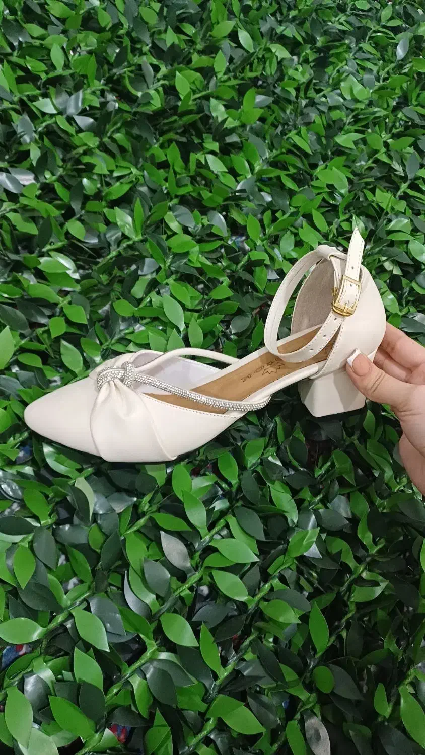 کفش مجلسی|کیف، کفش، کمربند|بهارستان, |دیوار