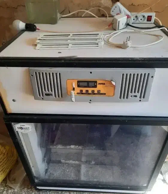 دستگاه جوجه کشی|عمدهفروشی|بندر ترکمن, |دیوار