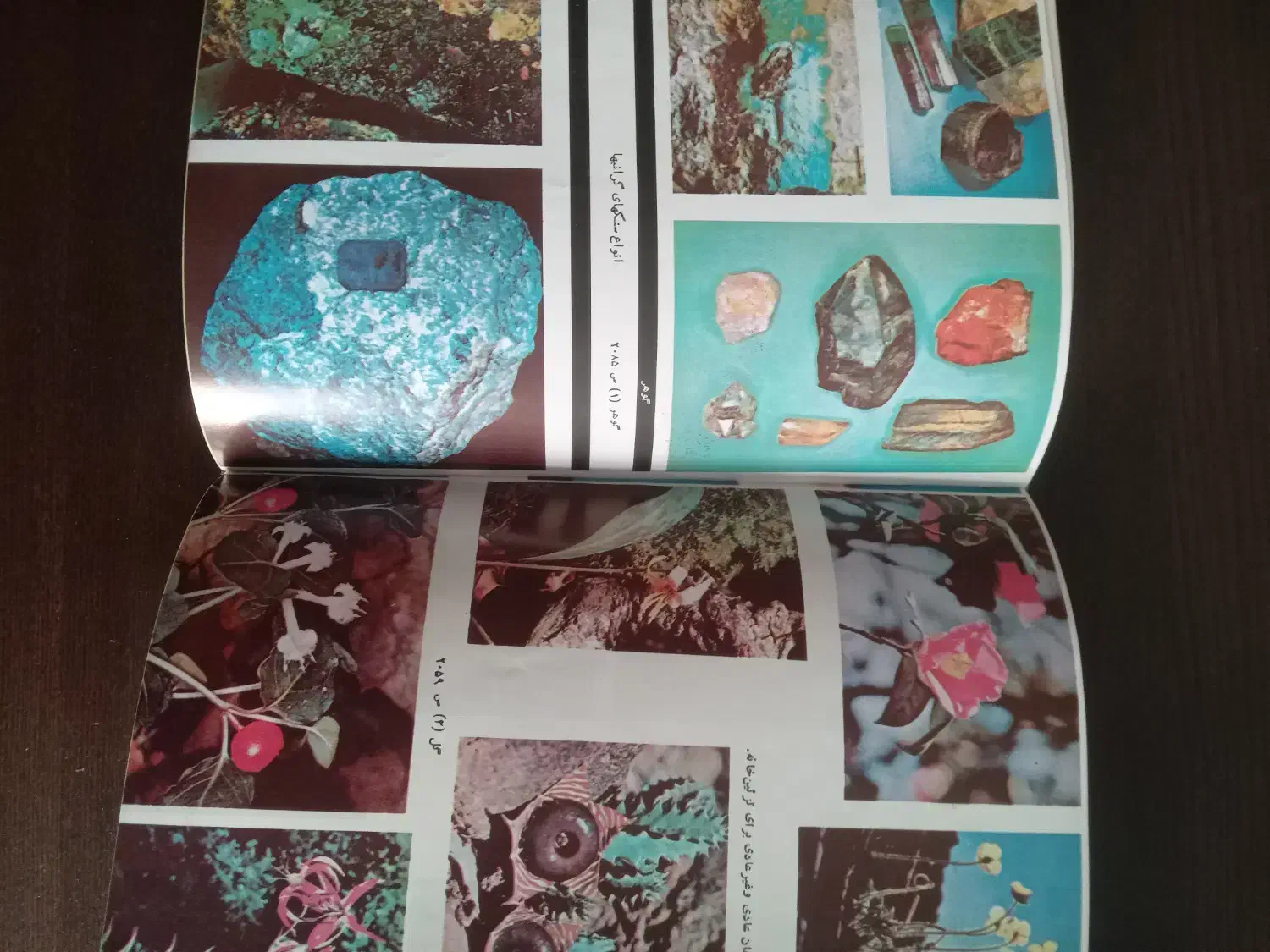 لغتنامه فارسی عمید مخصوص کتاب بازها|کتاب و مجله تاریخی|تهران, سنائی|دیوار