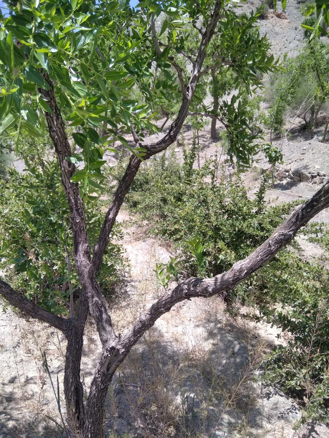 تصویر 6