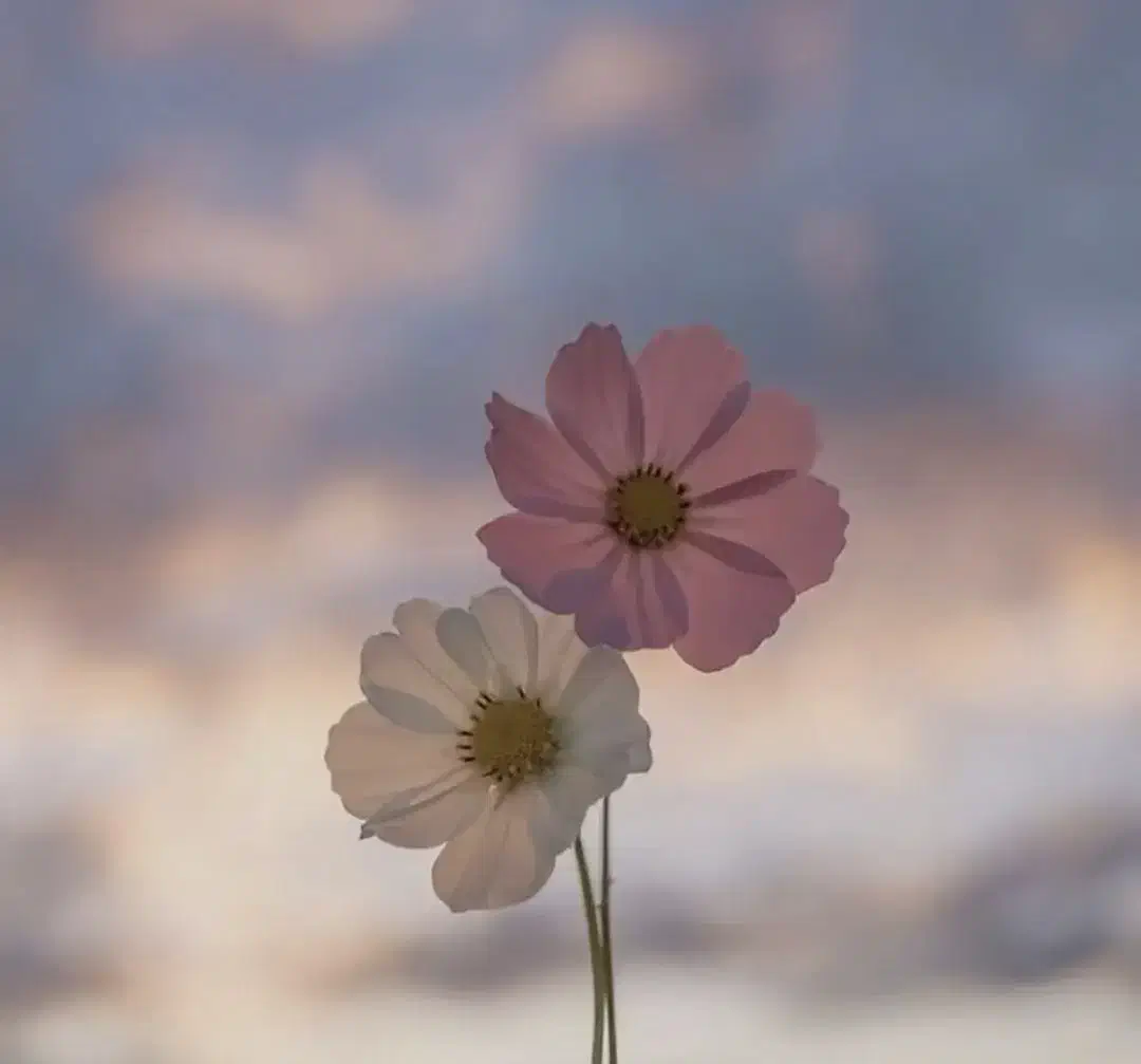 پرستار خانم پاره وقت|استخدام درمانی، زیبایی، بهداشتی|تهران, فاطمی|دیوار