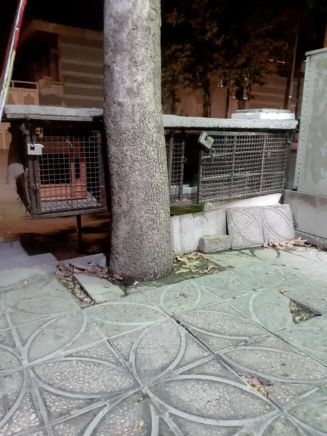 قفس پرنده|لوازم جانبی حیوانات|ایلام, |دیوار