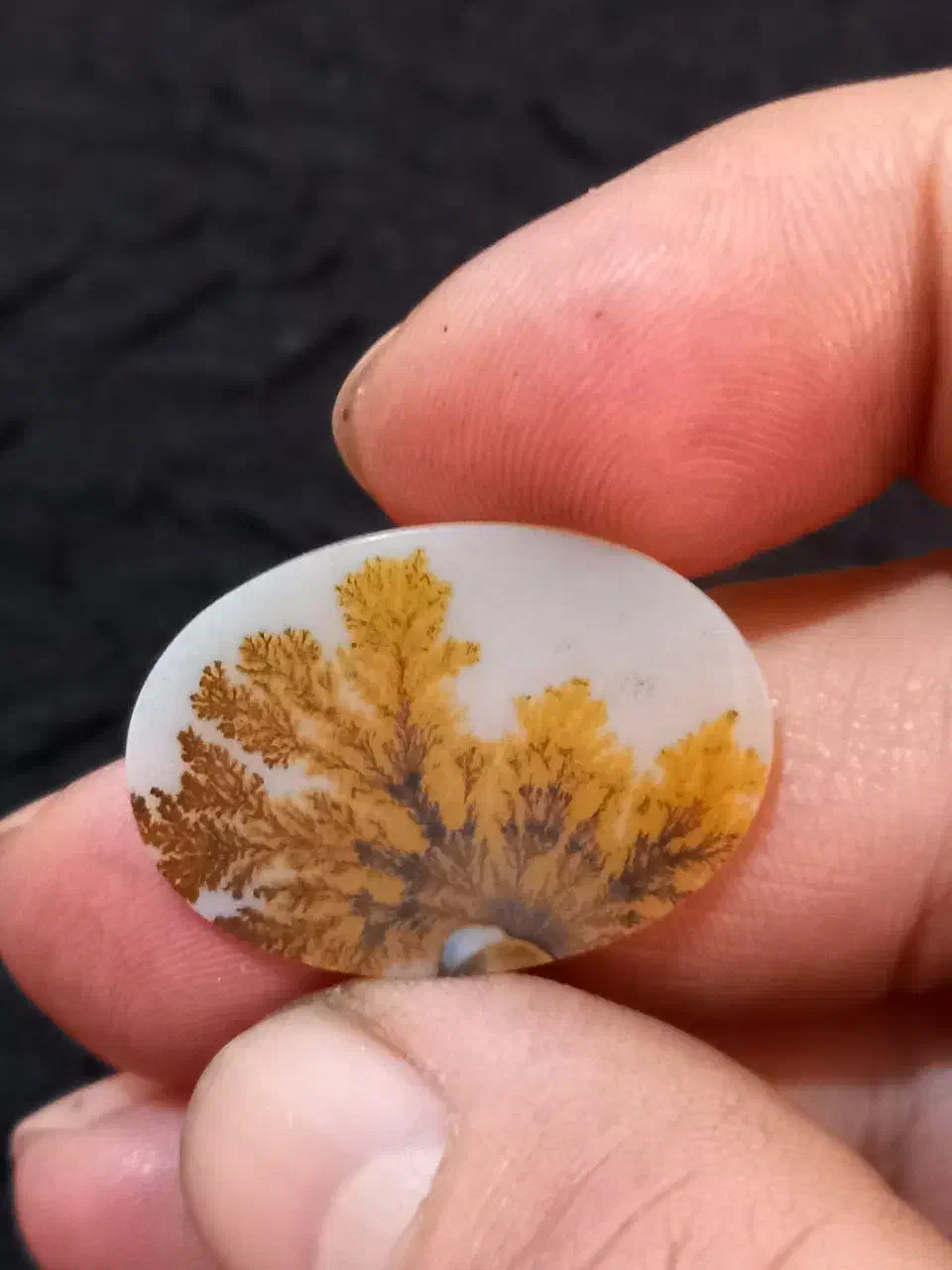 شجر|جواهرات|تهران, بازار|دیوار