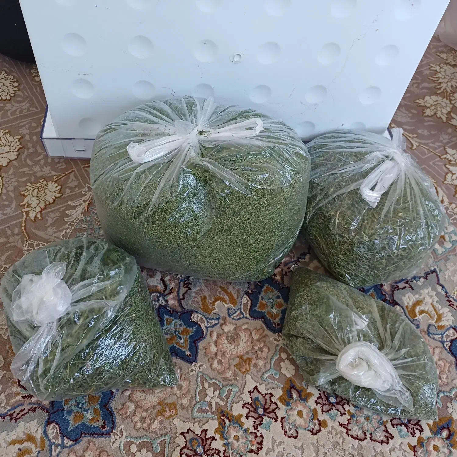 سبزی خشک|خوردنی و آشامیدنی|گلبهار, شهر جدید گلبهار|دیوار