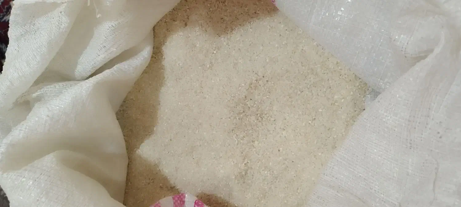 برنج نیم دانه ایرانی|خوردنی و آشامیدنی|نوشهر, |دیوار