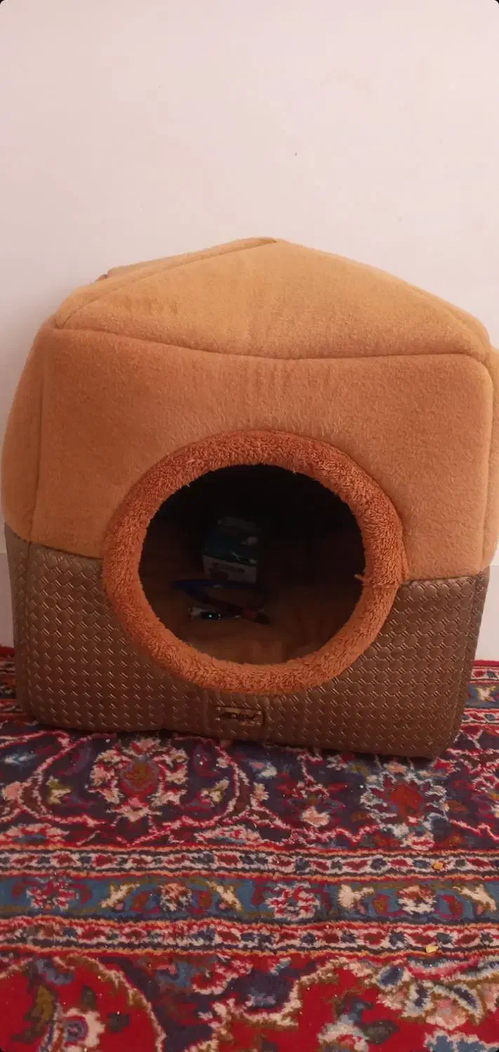 خانه ی گربه نو|لوازم جانبی حیوانات|میانه, |دیوار