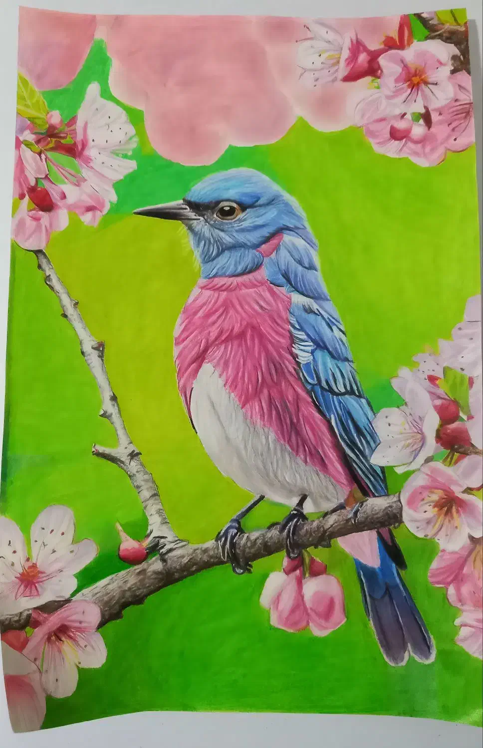 سفارش انواع نقاشی|تابلو، نقاشی، عکس|خرمآباد, |دیوار