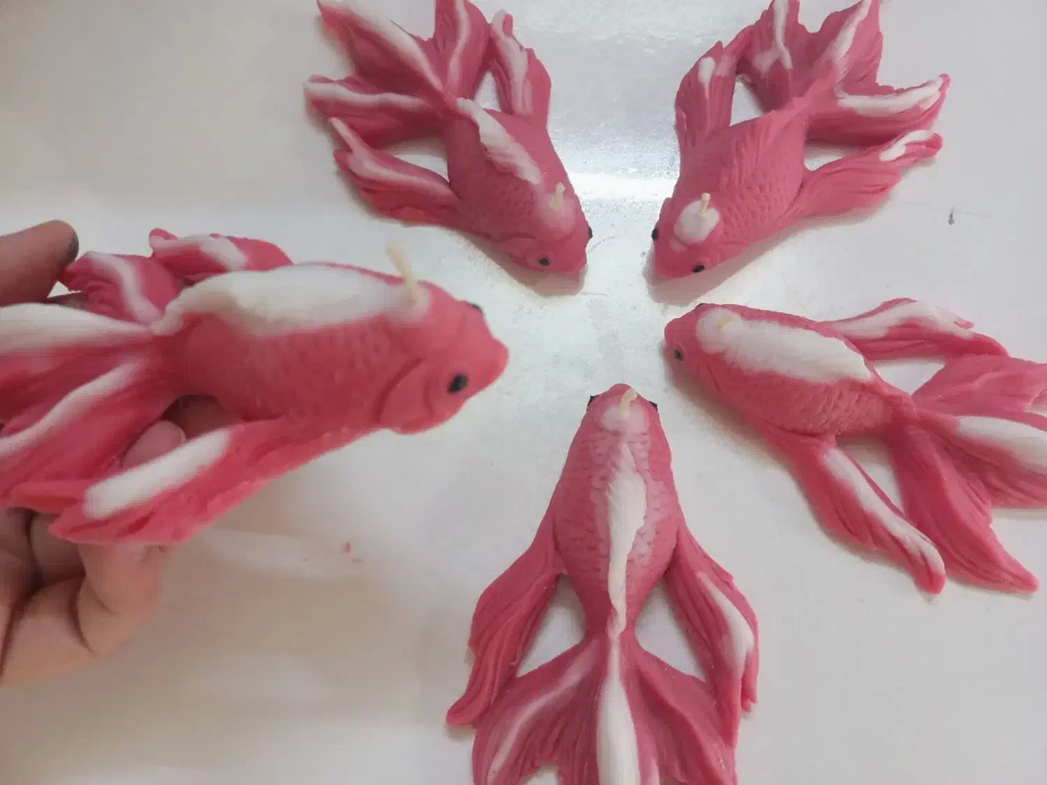 اکسسوری|زیورآلات و اکسسوری|قم, چهار مردان|دیوار