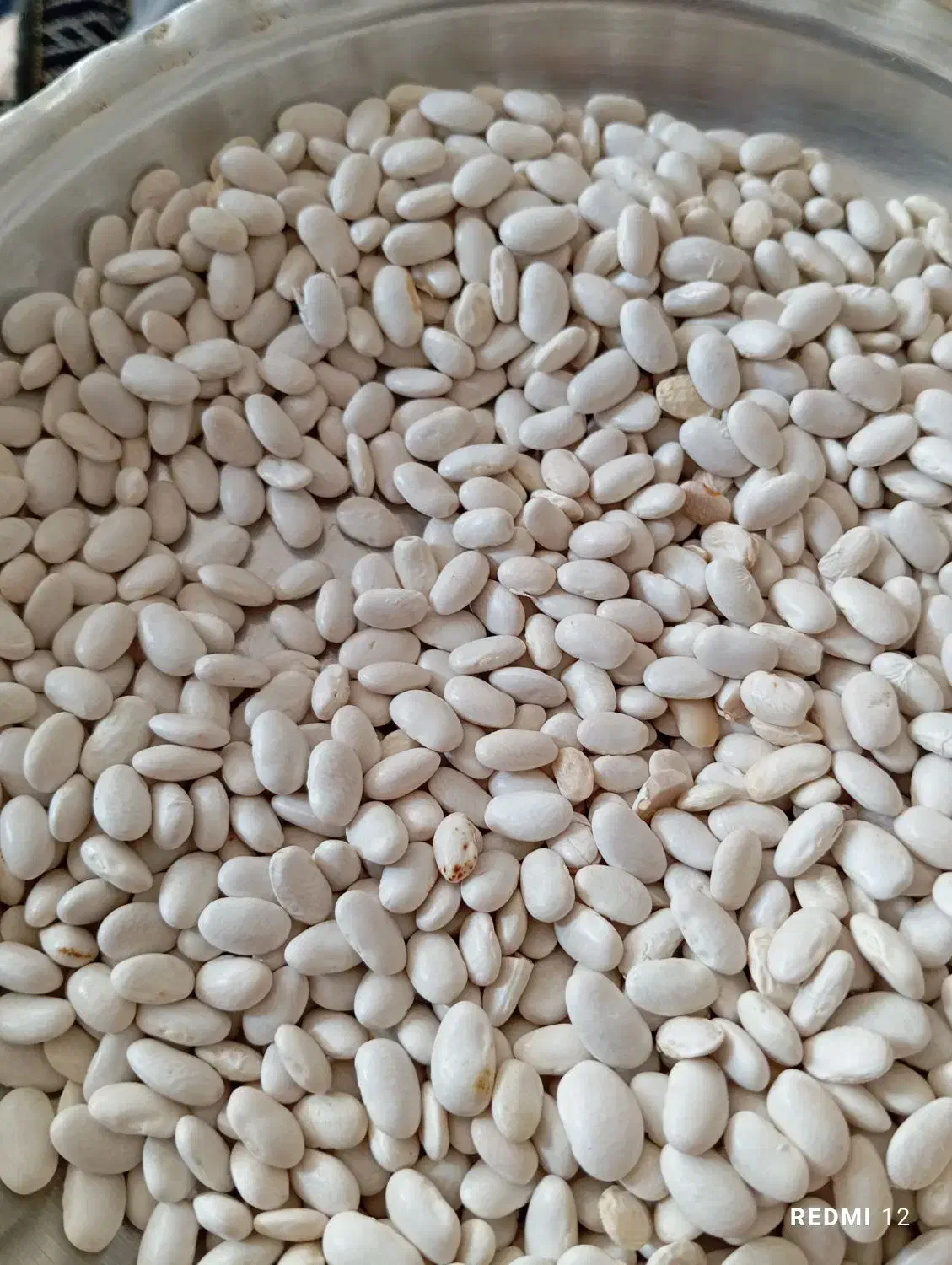 فروشی|حراج|کرج, شهر صنعتی|دیوار