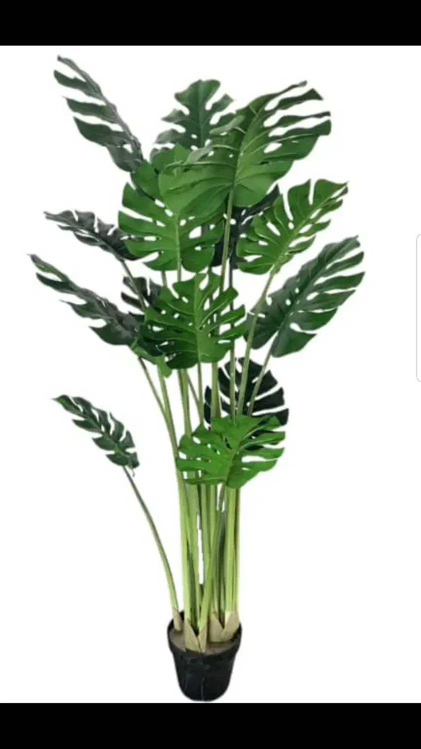 درخت مصنوعی|گل مصنوعی|بندر کنگان, |دیوار