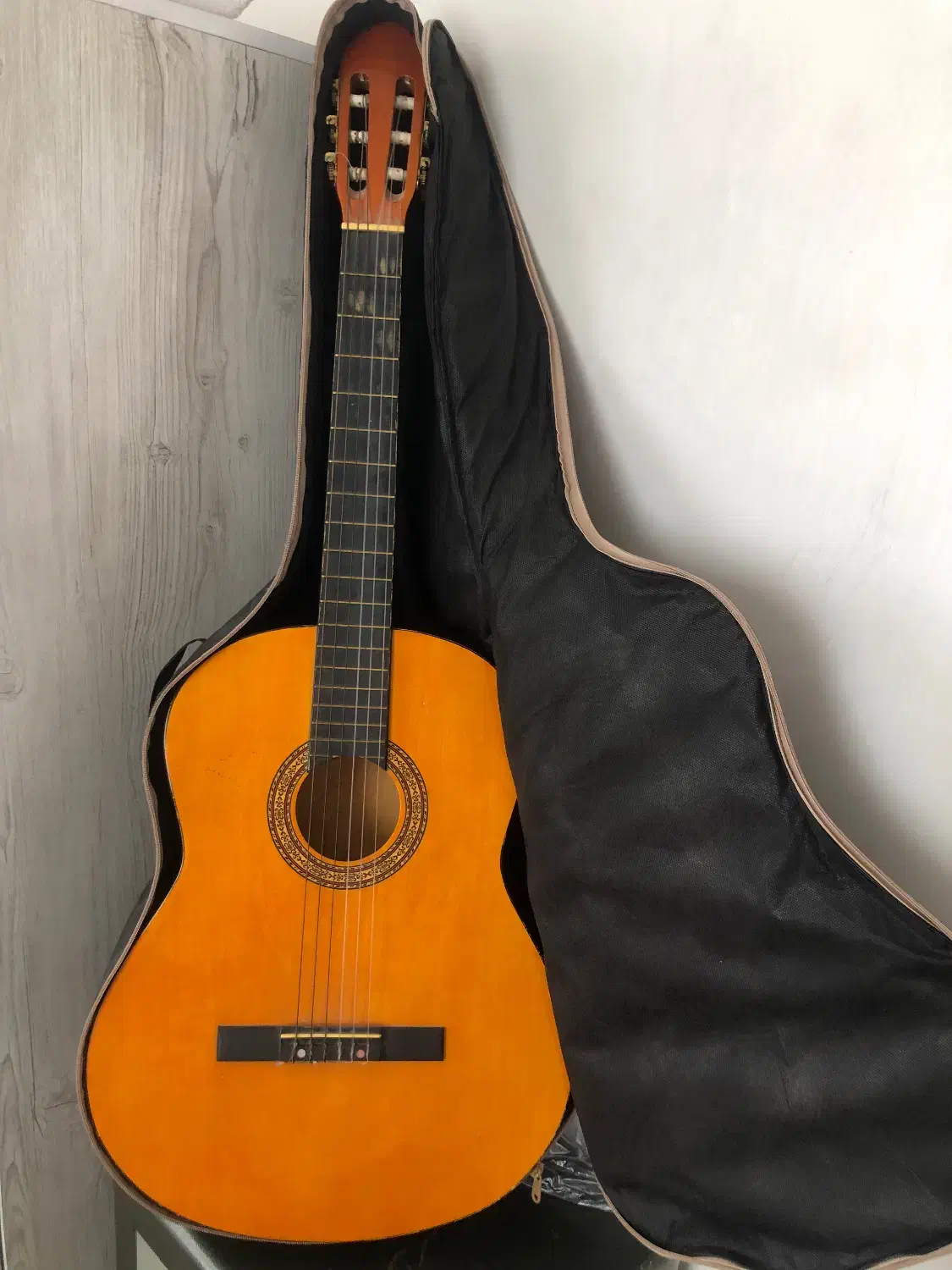 گیتار همراه با کیف|گیتار، بیس، امپلیفایر|سیلوانه, |دیوار