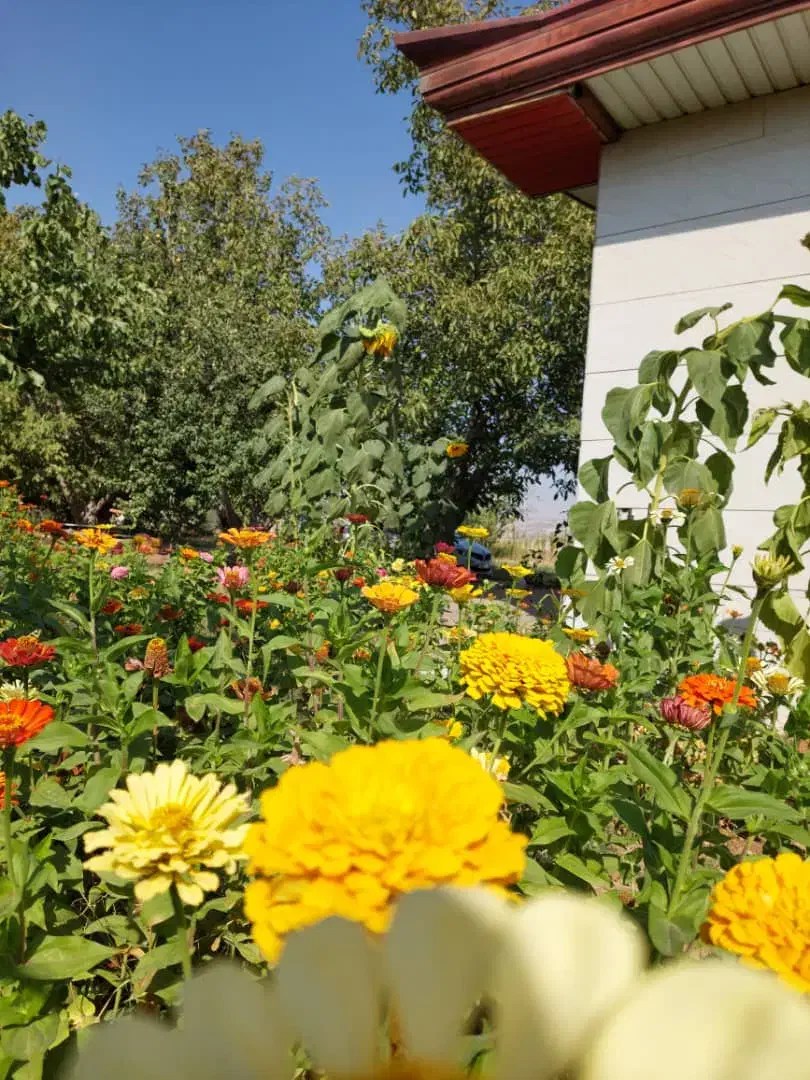 اجاره روزانه خانه باغ|اجارهٔ کوتاهمدت ویلا و باغ|ایلام, |دیوار