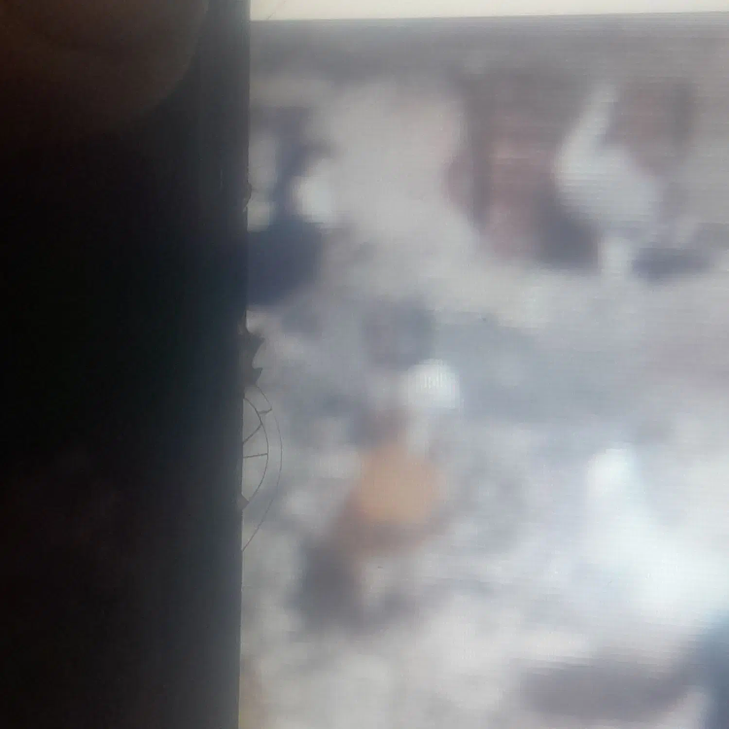 درودخدمت همه عشق بازان این حیوان گم شد بادبود|حیوانات|بجنورد, |دیوار