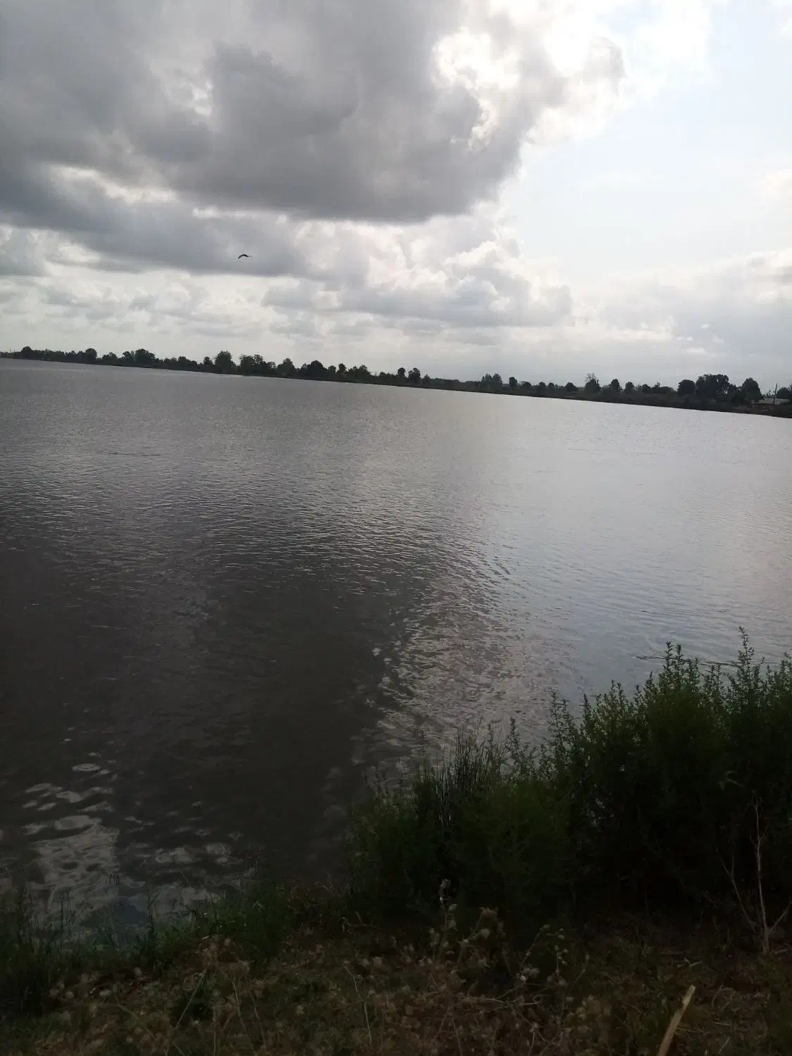 حراج زمین مسکونی|حراج|رشت, لاکان شهر|دیوار