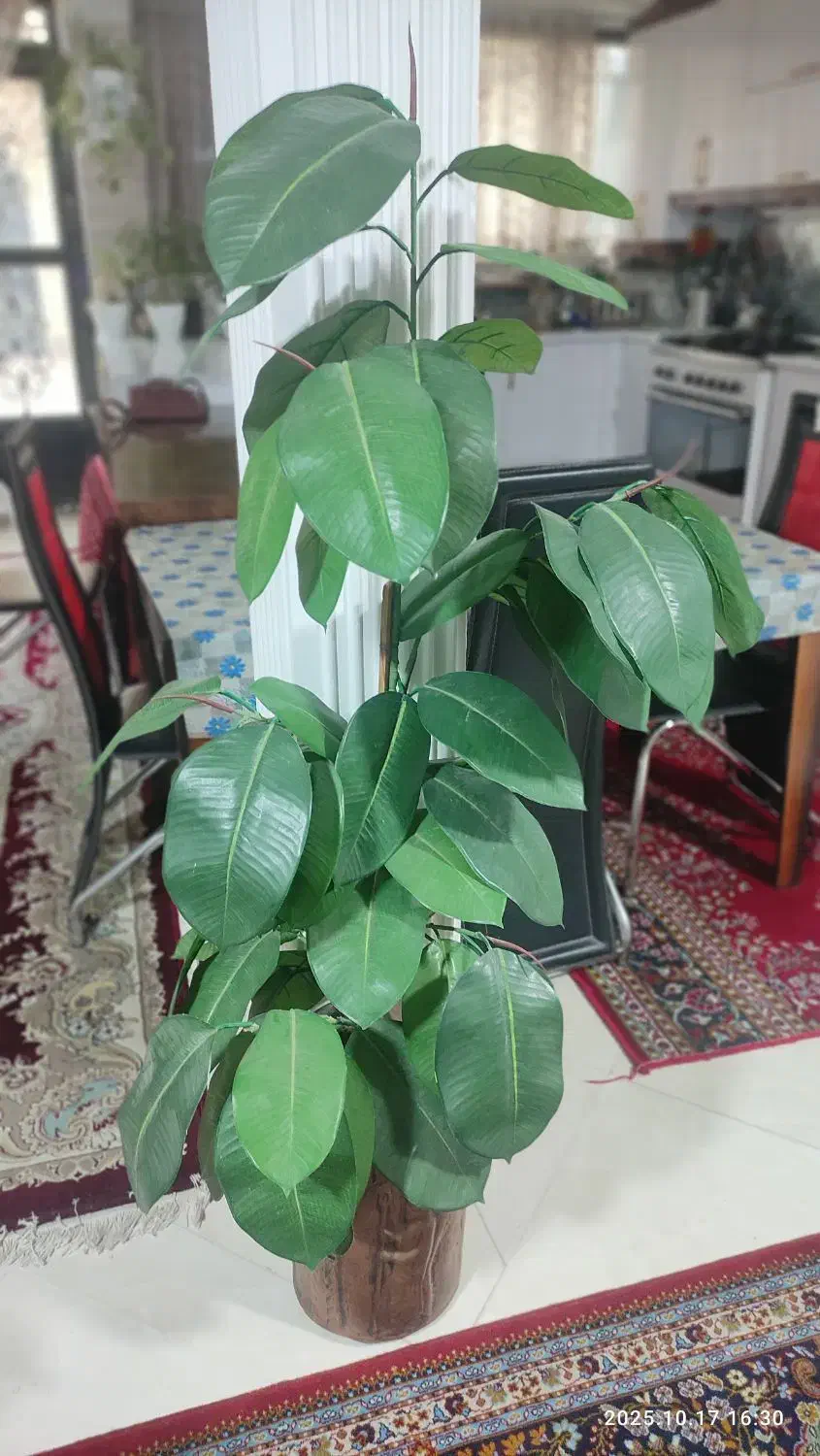 درختچه و گل فومی|گل مصنوعی|بیرجند, |دیوار