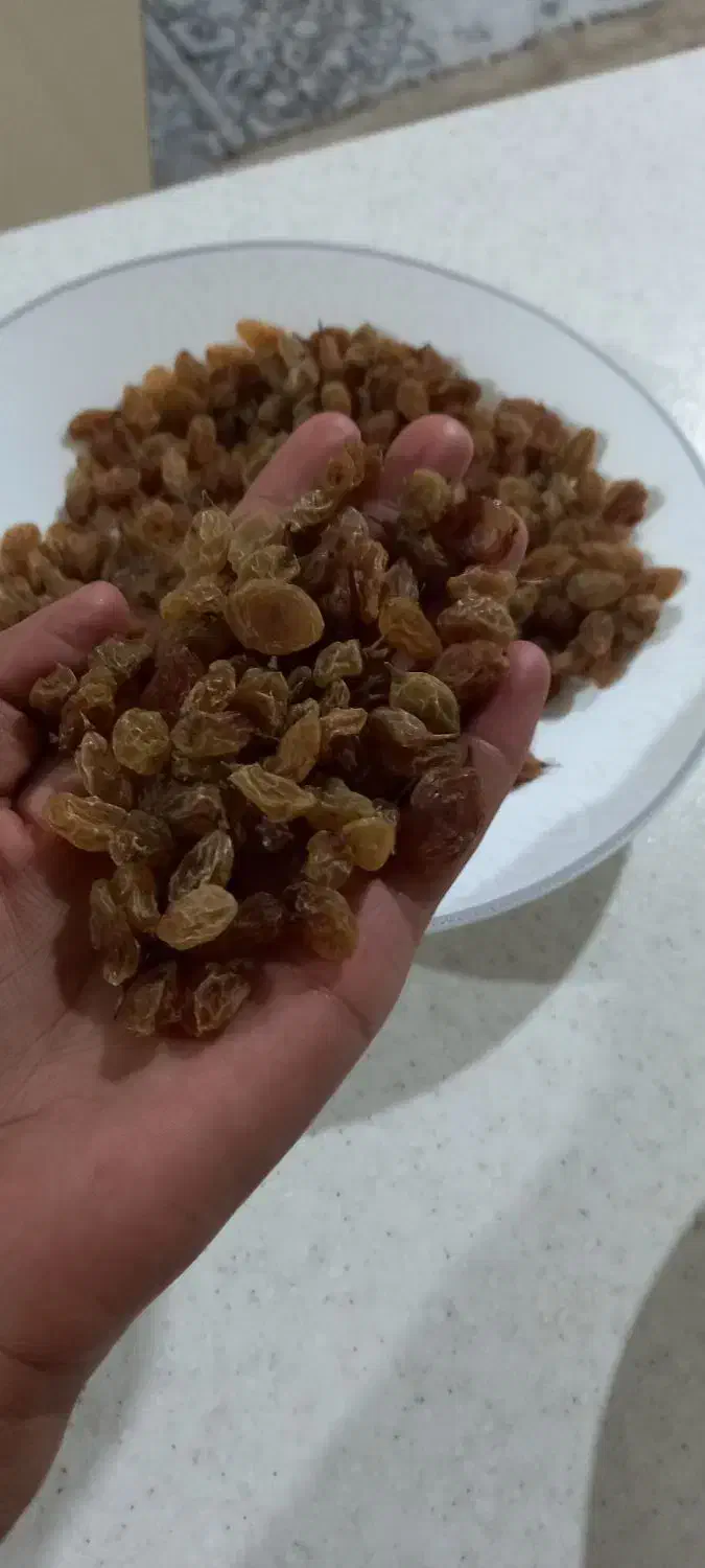 کشمش آفتابی تازه مال امسال|خوردنی و آشامیدنی|بومهن, |دیوار