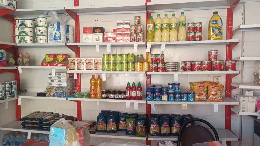 قیمت مناسب|مواد شوینده و دستمال کاغذی|شوش, |دیوار