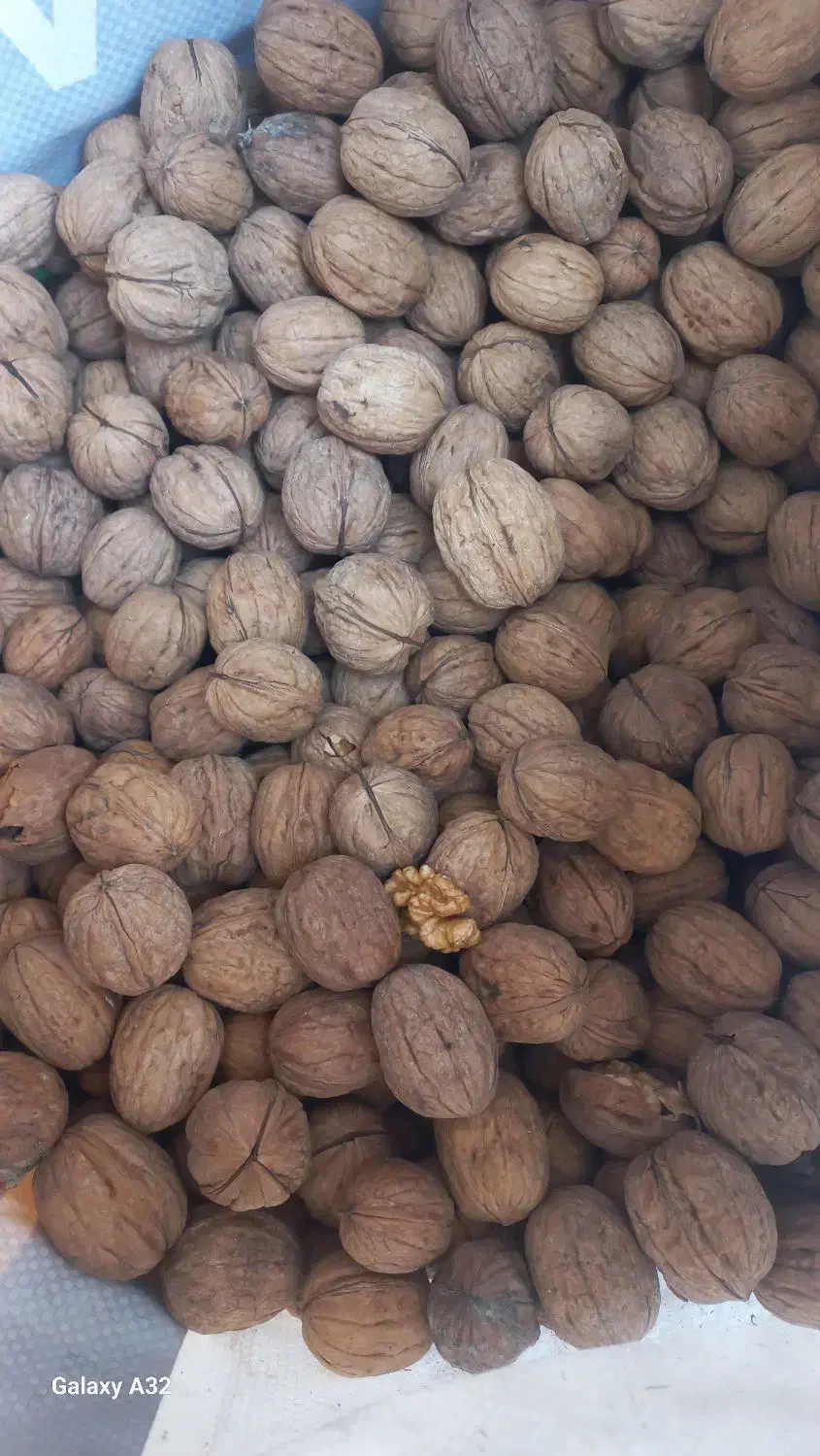 گردو|خوردنی و آشامیدنی|اهواز, کیانشهر|دیوار