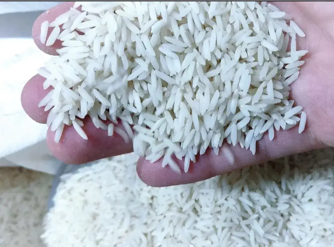 شریک و سرمایه گذار|خدمات مالی، حسابداری، بیمه|قم, نیروگاه|دیوار