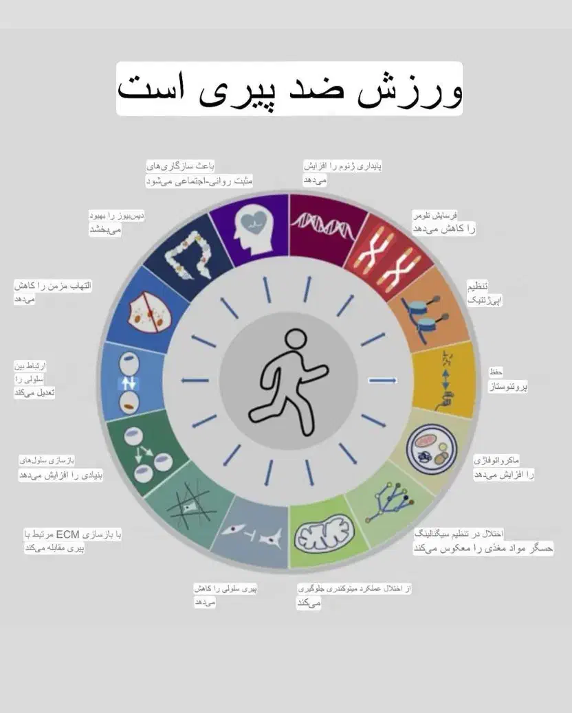 مربی شخصی بدنسازی|خدمات آموزشی|یزد, |دیوار