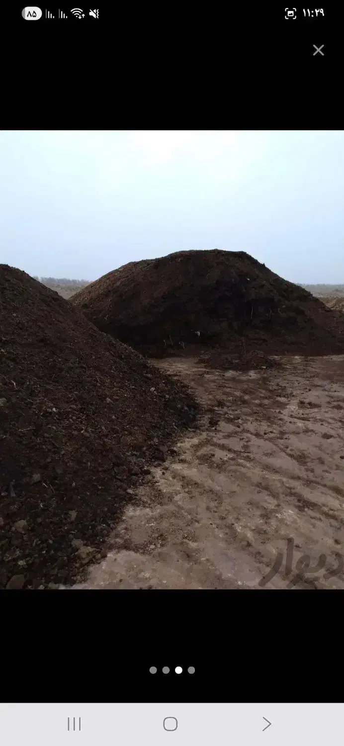 کود پوسیده کهنه گاوی|خدمات باغبانی و درختکاری|چهارباغ, |دیوار