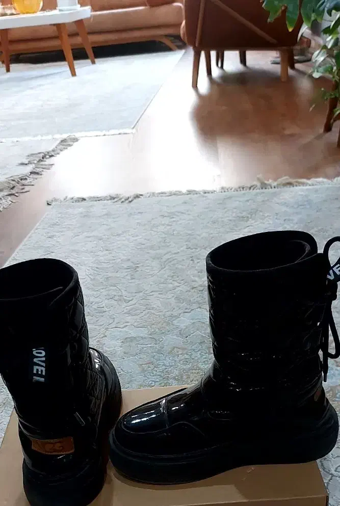 کفش و بوت|کیف، کفش، کمربند|شیراز, شهرک ولیعصر|دیوار