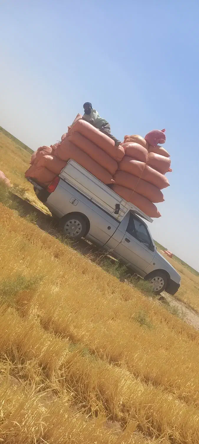 کاهی درجه یک واعلا|لوازم جانبی حیوانات|تربت جام, میان جام|دیوار