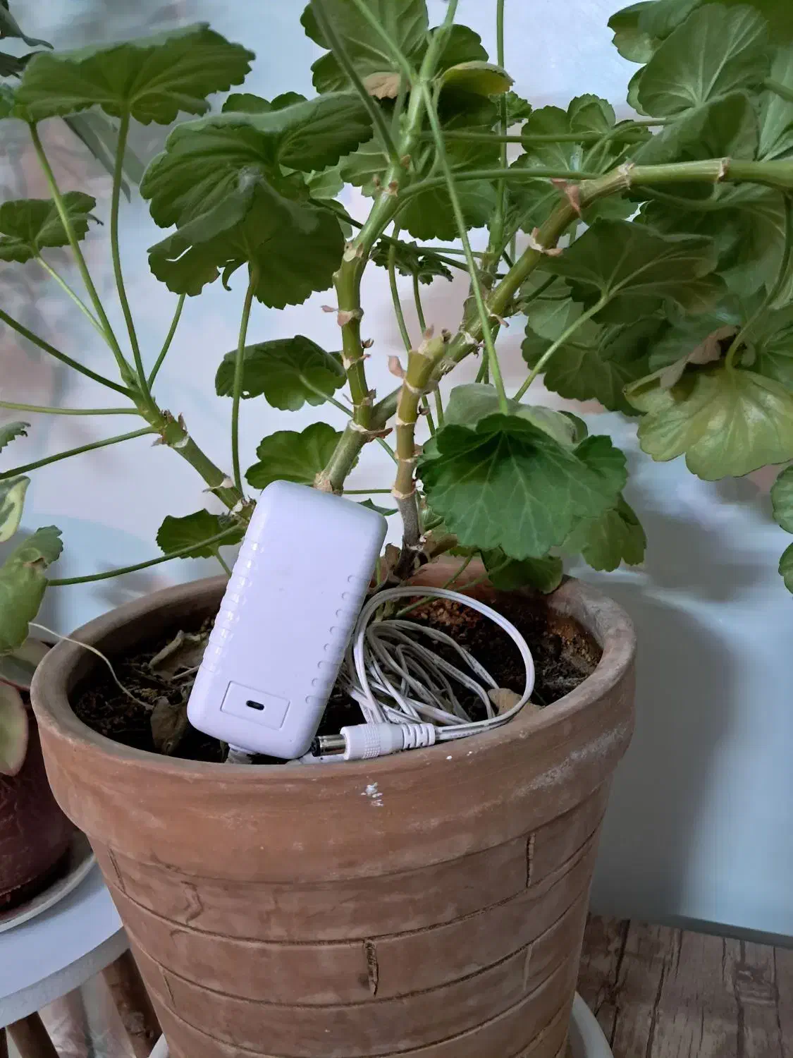 آدابتور وای فای، ۱۲ ولت ۰.۵ آمپر|مودم و تجهیزات شبکه|سبزوار, توحیدشهر|دیوار