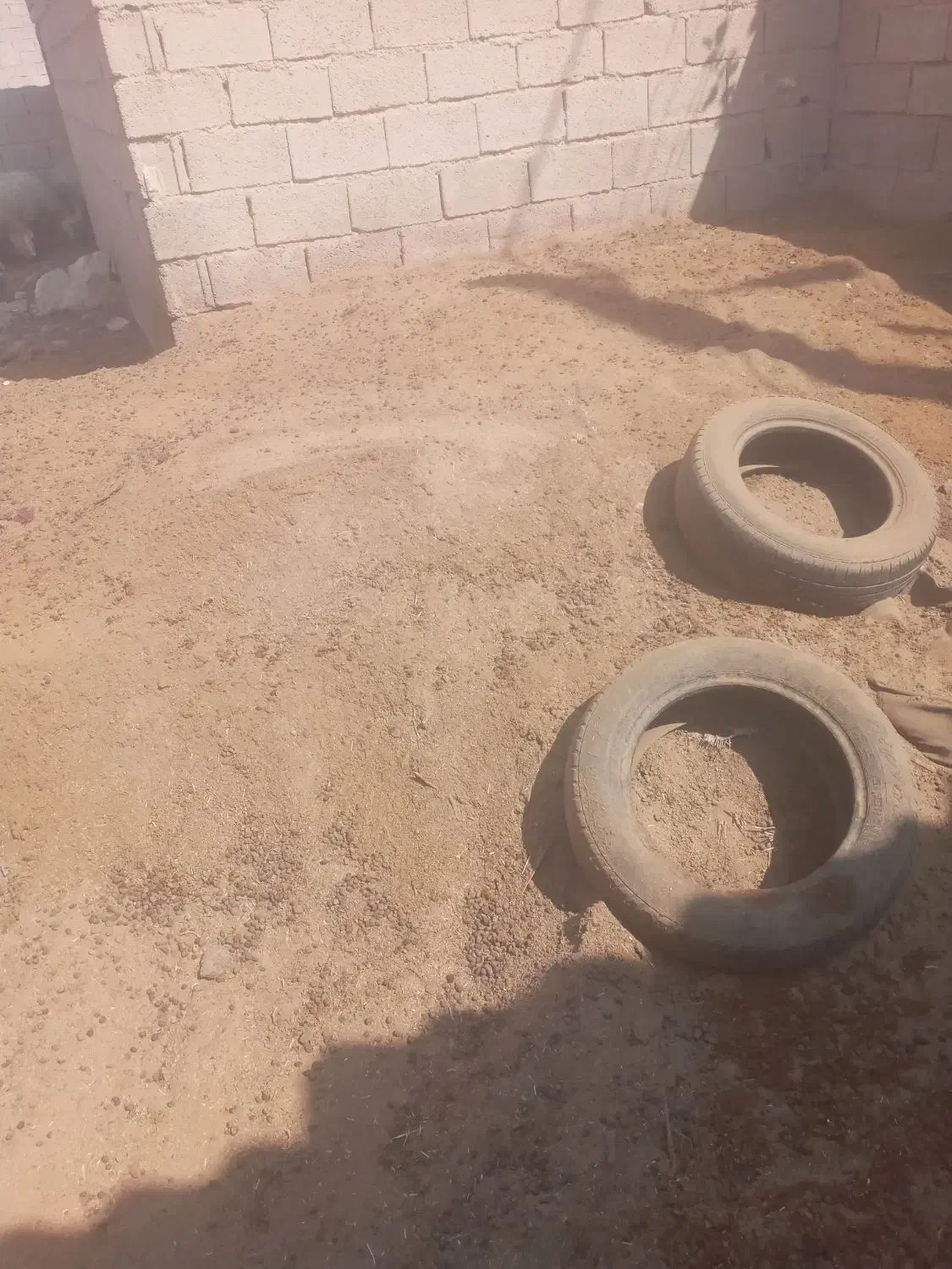 کود حیوانی|خدمات باغبانی و درختکاری|جهرم, |دیوار