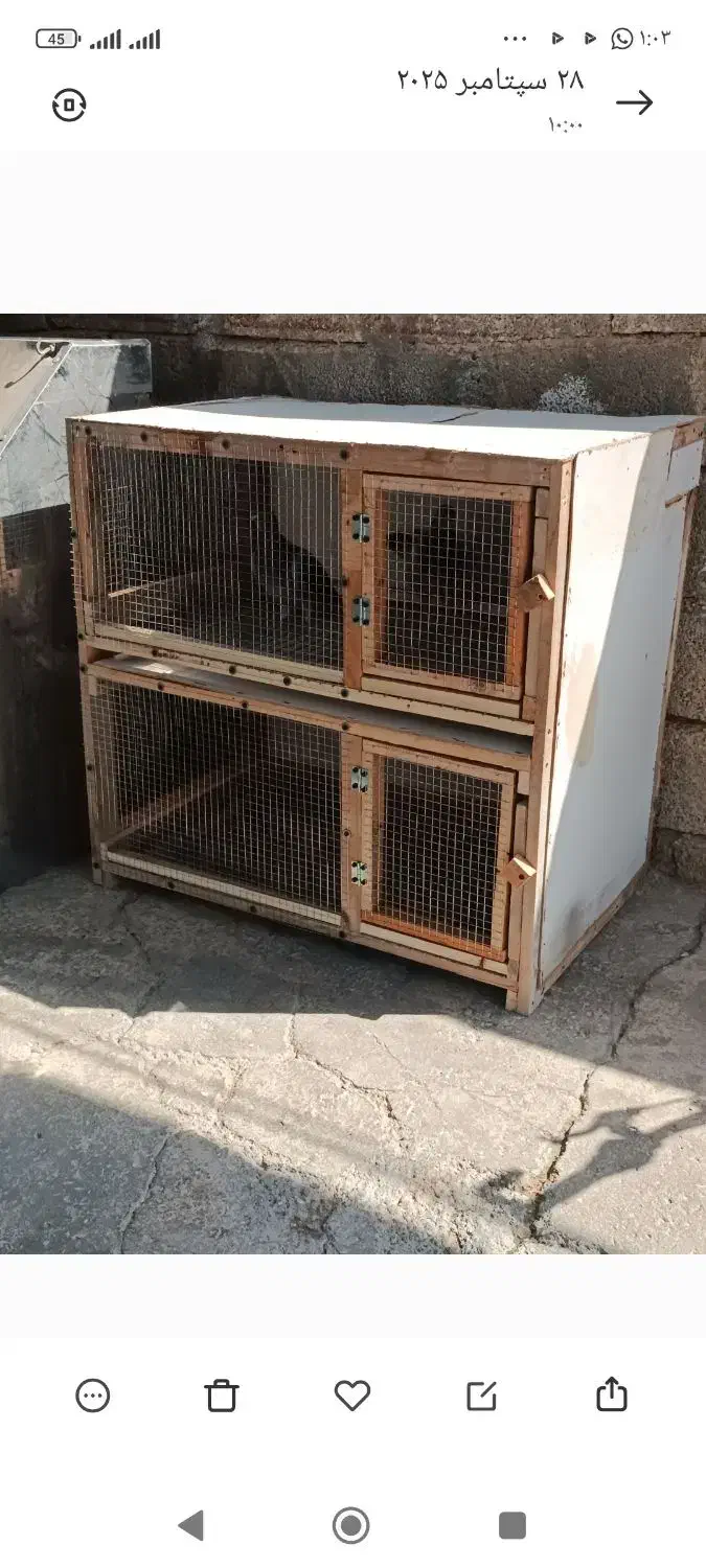 قفس جفتخون|لوازم جانبی حیوانات|چغادک, |دیوار