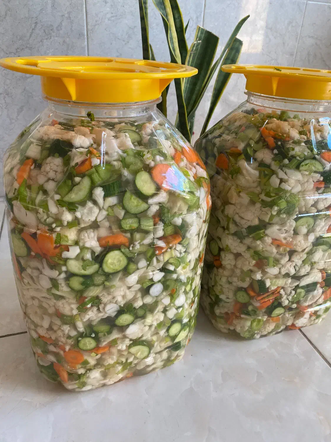 ترشی خانگی|خوردنی و آشامیدنی|ایلخچی, |دیوار